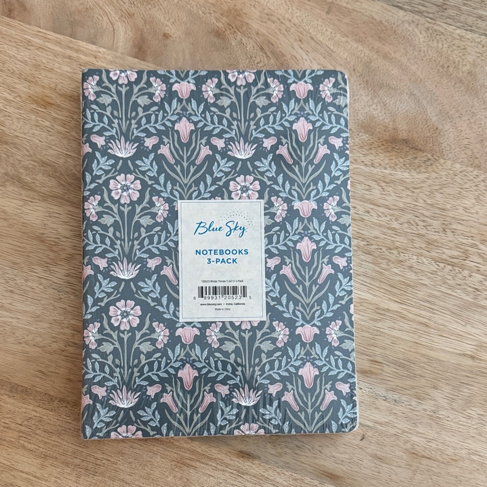 NEW Blue Sky Notebooks 3-Pack